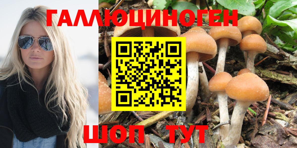 Галлюциногенные грибы мицелий Коркино