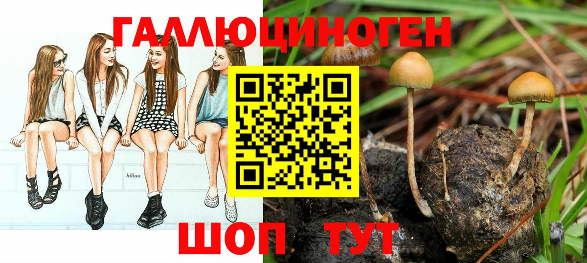 Галлюциногенные грибы Psilocybine cubensis  Вход с VPN  Коркино 